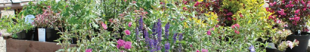 How to find Rowan Garden Centre in Buckinghamshire graphic header
