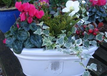 POTS WINTER