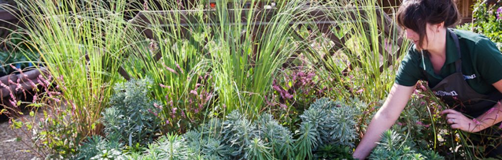 careers at Rowan Garden Centre