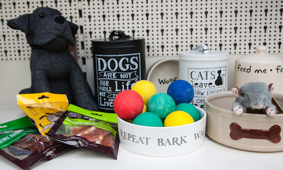dog accessories at Rowan Garden Centre dog accessories at Rowan Garden Centre