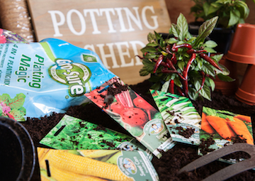 grow your own vegetables with Rowan Garden Centre