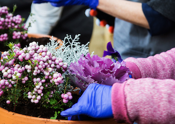 workshops at Rowan Garden Centre